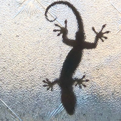 ゆりっぺ (@torara445) / Posts / X