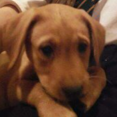 TuberOnly's profile picture. just helping out you tubers