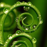 MaruGN☆ (@gn_maru) 's Twitter Profile Photo