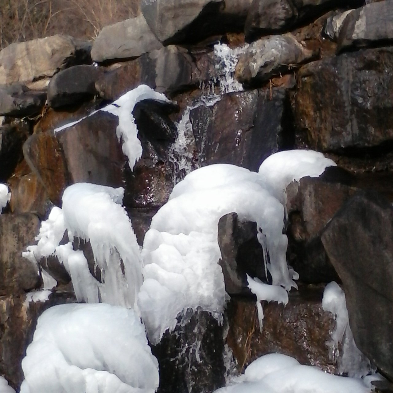 jsko2019's profile picture. Everyman