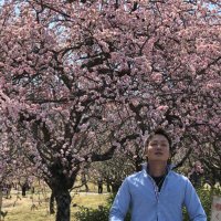 hibigori (@hibigori) Twitter profile photo