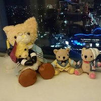 ひぃ@初回ツイフィ見て下さい (@hii_htmndns) 's Twitter Profile