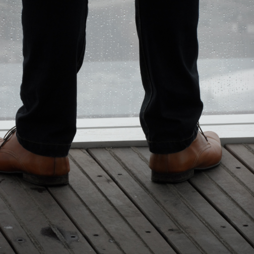 aguy4hiscamera's profile picture. From the shoreline and beyond, some of my favourite images either via Canon camera or iPhone.