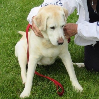 michigannana's profile picture. just a sinner saved by grace. passion for gardening and grandchildren, have courage and be kind!