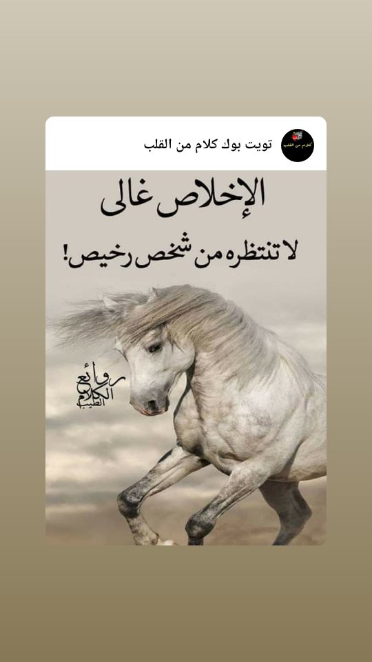 oN2wdWWJtWEbqIQ's profile picture. 