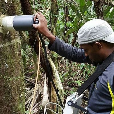 PhD cand. @UF 🇺🇸 -- Lianas, Disturbance, Forest Carbon | MSc Forest Sciences & Forest Ecology @UniGoettingen 🇩🇪 | Formerly @UBERIBZ 🇧🇿 | Beer Enthusiast