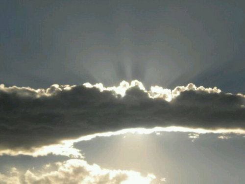 Shewolf60404's profile picture. I'm a real busy lady married and trucking the usa love it