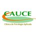 CAUCE Psicología (@caucepsicologia) Twitter profile photo CAUCE Psicología (@caucepsicologia) Twitter profile photo