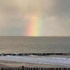 NatalieZerulla's profile picture. 