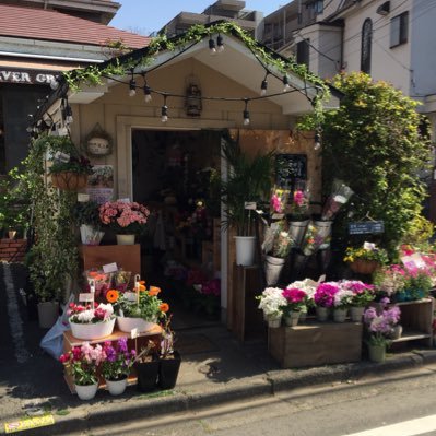ときわ木花工房 ガラスの箱庭 できました 8 25に苔テラリウム講座開催いたします 花 花好きな人と繋がりたい 花のある暮らし 苔テラリウム 花屋 大田区の花屋 大田区中央 ときわ木花工房 場所 Ota Ku Tokyo Japan T Co Xewnu72jwx ときわ木花工房 ガラスの箱庭 できました 8 25に苔テラリウム講座開催いたします 花 花好きな人と繋がりたい 花のある暮らし 苔テラリウム 花屋 大田区の花屋 大田区中央 ときわ木花工房 場所 Ota Ku Tokyo Japan T Co Xewnu72jwx