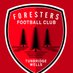 Tunbridge Wells Foresters Ladies (@forestersladies) Twitter profile photo Tunbridge Wells Foresters Ladies (@forestersladies) Twitter profile photo