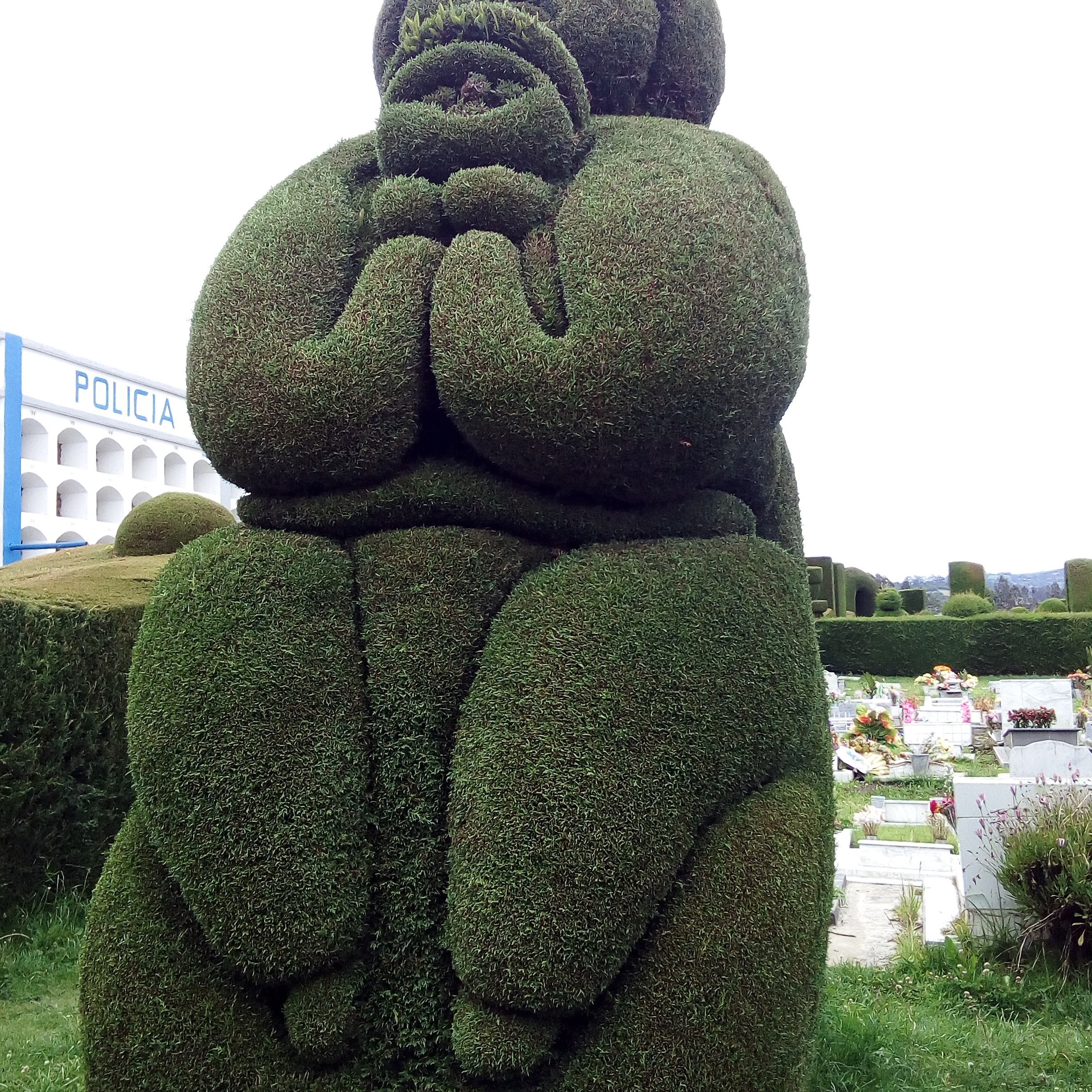 oscarkemertorre's profile picture. Mensajero de aplicaciónes
Cel 3108318458