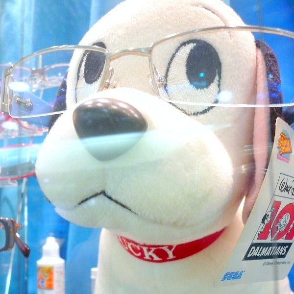 Lucky_B_F's profile picture. 台湾旅行＆中華職棒 (CPBL) 観戦大好き 請多多指教😄⚾🍚 桃園50試合+天母2新莊5洲際3嘉義1大巨蛋2(桃猿石垣9札幌1千葉2)延賽5。38度の台湾✈️ラミゴモンキーズよ永遠に🙈 #我愛中職 #中職晩酌