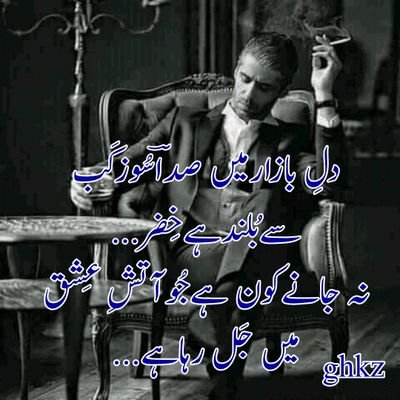 TanhaKhizar's profile picture. poltry