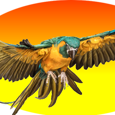 SKentabo's profile picture. KENTABO es la mejor, más rápida y sencilla opción de turismo al Amazonas del Perú; afiliados con las mejores empresas de transporte, turismo y alojamiento.🌟