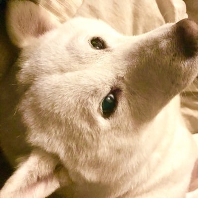 Omiyaクラブさんのプロフィール画像