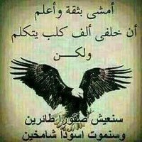 فحل من إب اليمن هذا حساب جديد (@frfd8hcrj7ezfd1) 's Twitter Profile