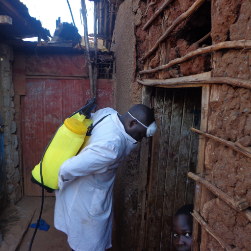 we eradicate bedbugs in Kibera slums and we are community based organization wants to see people of Kibera are living free from bedbugs