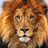 Rubén León TVE (@rubenleontve1) 's Twitter Profile