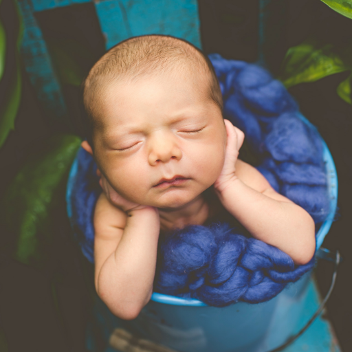 SweetHoneybeepd's profile picture. Child & Family Photographer