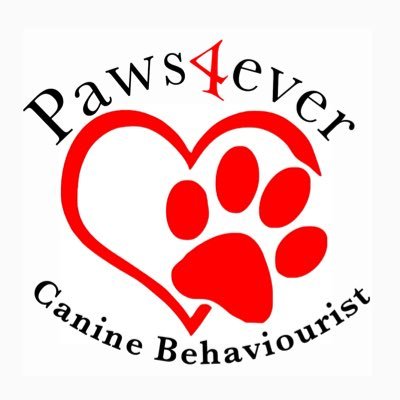 ISCP.Adv.Dip.Canine.Prac 1-2-1 sessions supporting dogs & teaching their owners how to behave! https://t.co/Pb8fsFeAmQ