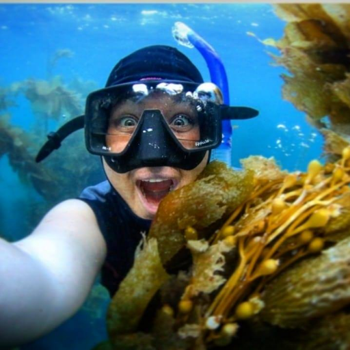 I am the Dive Nanny who travels with divers & snorkelers around the world to explore the depths of our planet and how we can preserve it! (Laughter included)