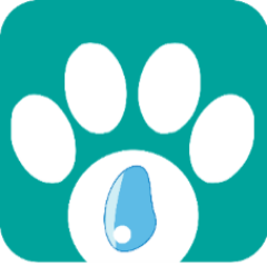 PatitasCelestia's profile picture. Presentamos nuestro servicio exclusivo  para brindar homenaje especial a  la vida de sus mascotas, a través de la EcoCremación privada.