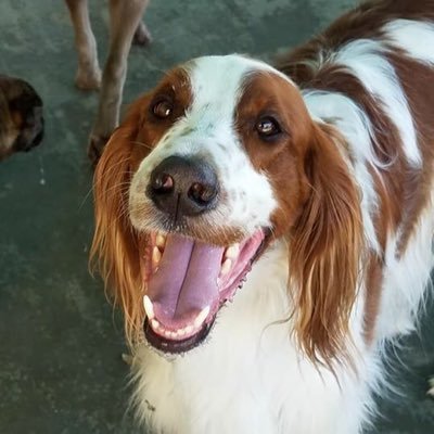 JillianBmom's profile picture. 