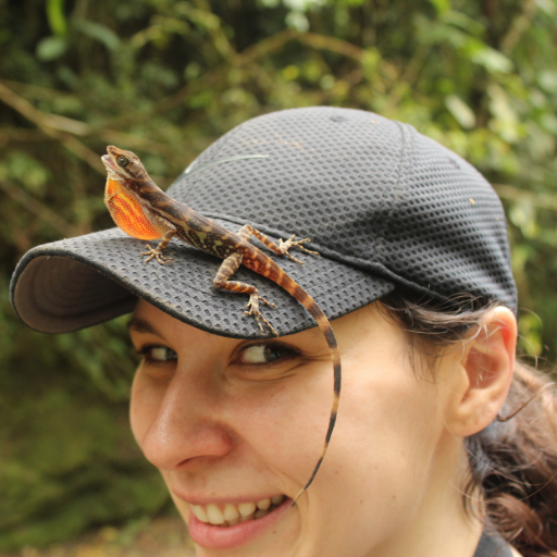 Assistant Research Professor @Binghamtonu | behavioral ecology | tropical ecology | she/her | #SciComm | #herpetology