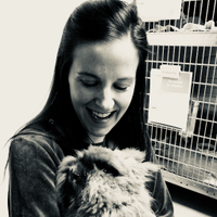 Julia Arnold (@mnfranticmama) 's Twitter Profile Photo