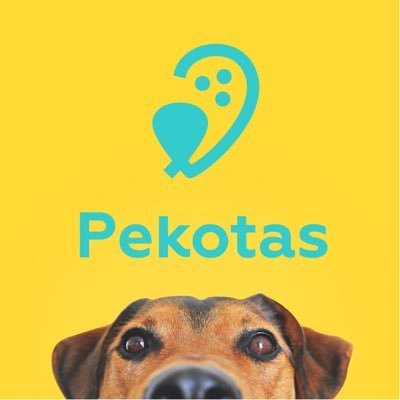 En Pekotas encontrarás la mejor selección de productos para tu macota. Todo para tus perros, gatos, roedores, aves, peces o reptiles.