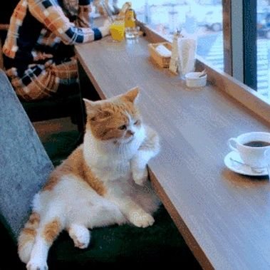 BeckerD_'s profile picture. 