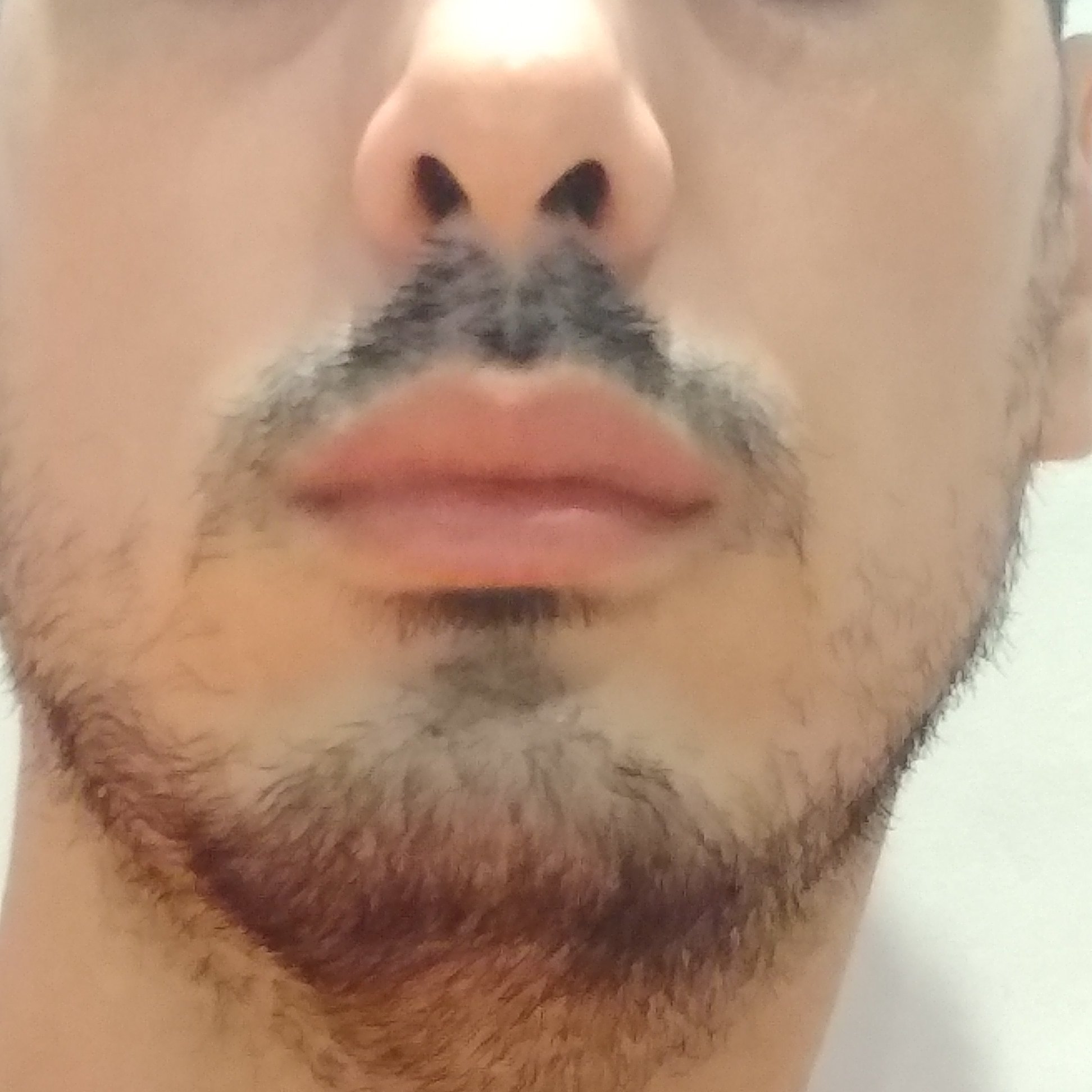 Jpkaff1's profile picture. 