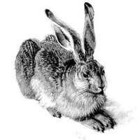 Julie Hare (@harejulie) Twitter profile photo