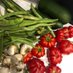 Richmond & Twickenham Allotments (@allotmenttweets) Twitter profile photo