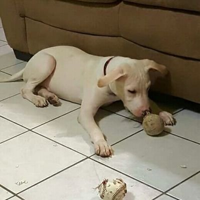 mixtap9's profile picture. business