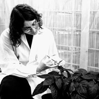 Margot Raffeiner (@margotraffeiner) 's Twitter Profile