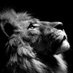 SergiodeLoro @Rizal (@sergio30338461) Twitter profile photo SergiodeLoro @Rizal (@sergio30338461) Twitter profile photo