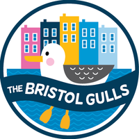 thebristolgulls (@thebristolgulls) 's Twitter Profile