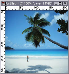 TaylorHulings's profile picture. 