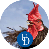 UDAgNaturalResources (@udcanr) 's Twitter Profile Photo UDAgNaturalResources (@udcanr) 's Twitter Profile Photo