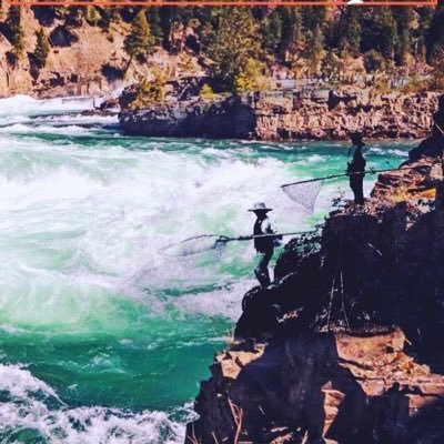 TheRiverPeople1's profile picture. Page for updates on the Documentary (in prep) about the Sto:lo In Hope BC