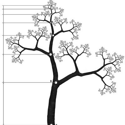 Mathematician & Ph.D. in Theoretical Ecology | organisms & ecosystems in changing environments | https://t.co/aQBhx8CbOf | Seeking post-doc (in 2025)