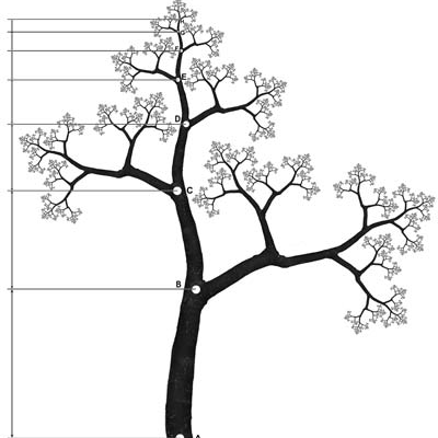 Biology/Ecology PhD student: modeling of ecosystems in changing environments. 
Toward a transdisciplinary theory of systems in changing environments.