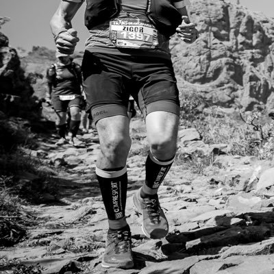 zigorilg's profile picture. 