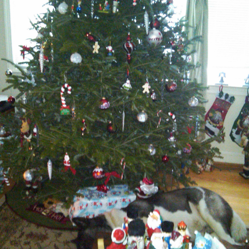 crogers371's profile picture. I don’t use social media much I’m always to busy working and trying to make everything better for my family especially my wife and daughter. #SUPERFAMILY