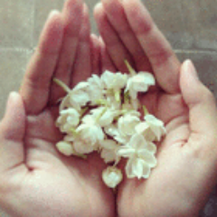 deasoftmedia's profile picture. 081381429121