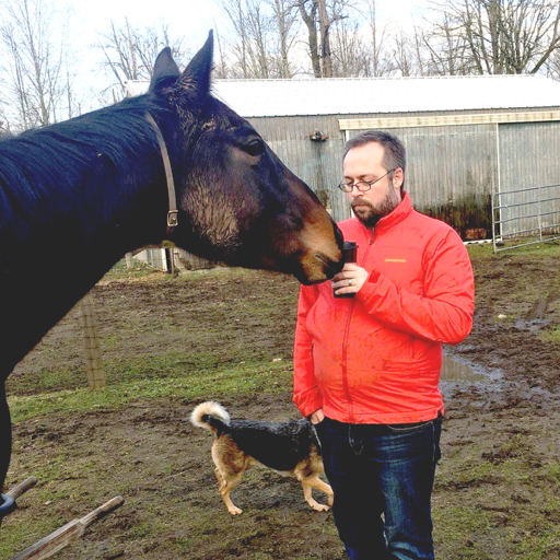 Race horses don't need coffee. Especially when learning Dressage: grace and balance are hard when jittery on caffeine. Picture is Teapot stealing my latte.