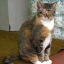 Jimmy Lui - @groundjay - Twitter