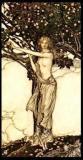 Voracious seeker of good opera, Wagner tops the list. Paleo/primal eater, free spirit, eternal learner, nature lover ....